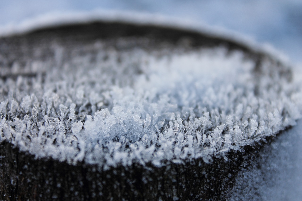 揭秘真相，内蒙古是否真的下雪？气候深度探究