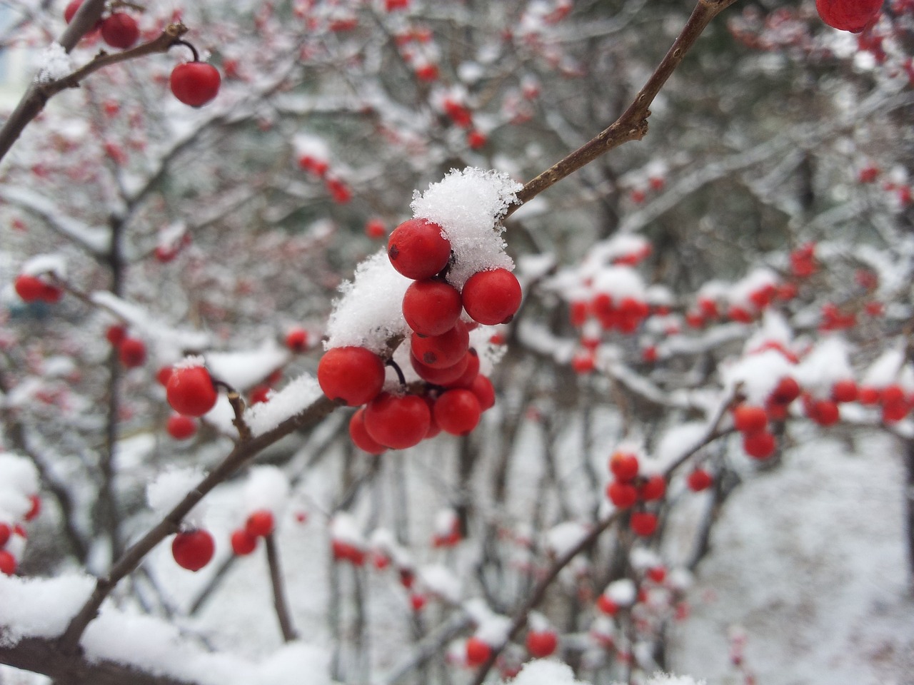 小雪上冬，诗意与哲理的交融时刻