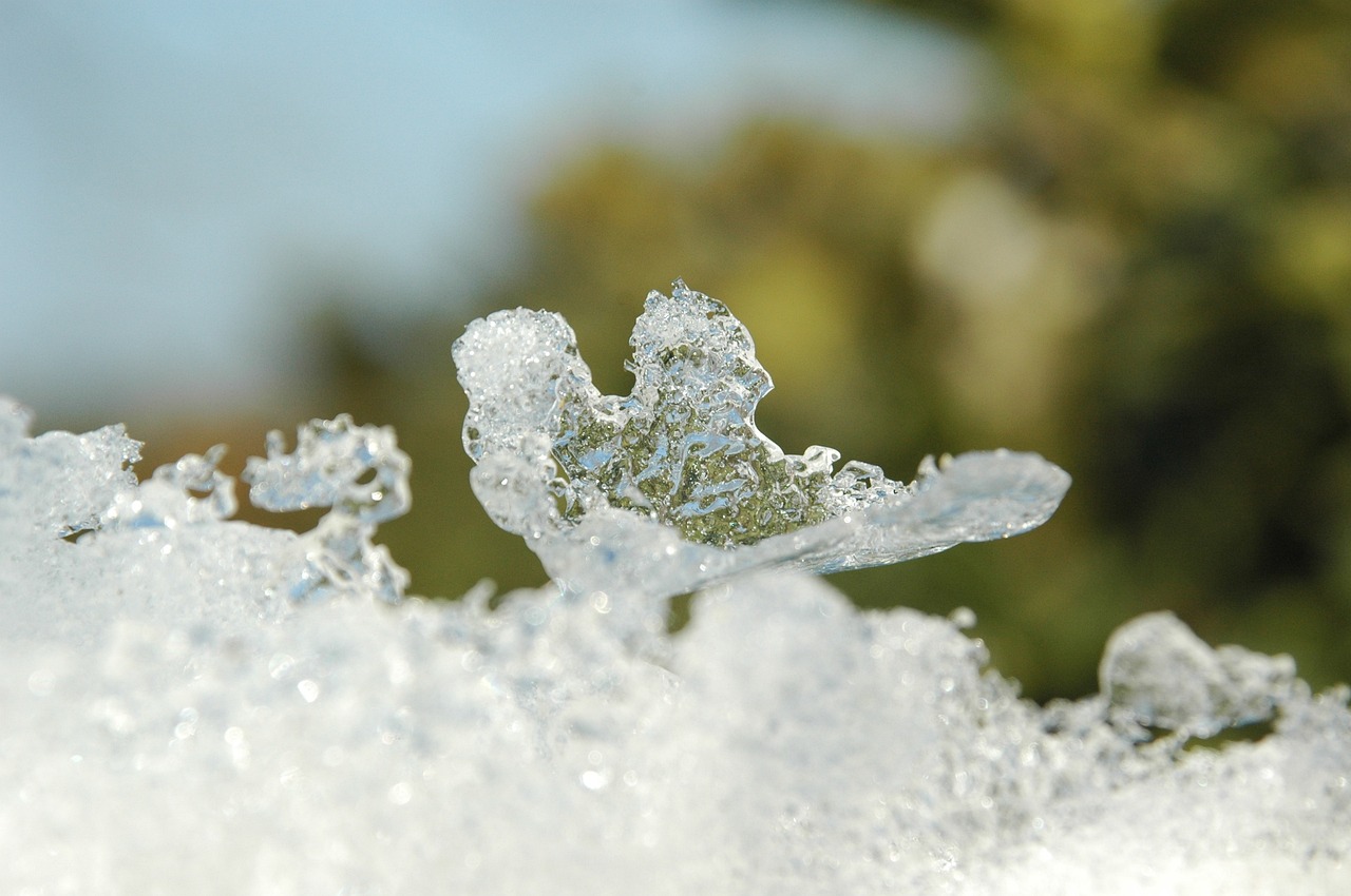 小雪上冬，诗意与哲理的交融时刻