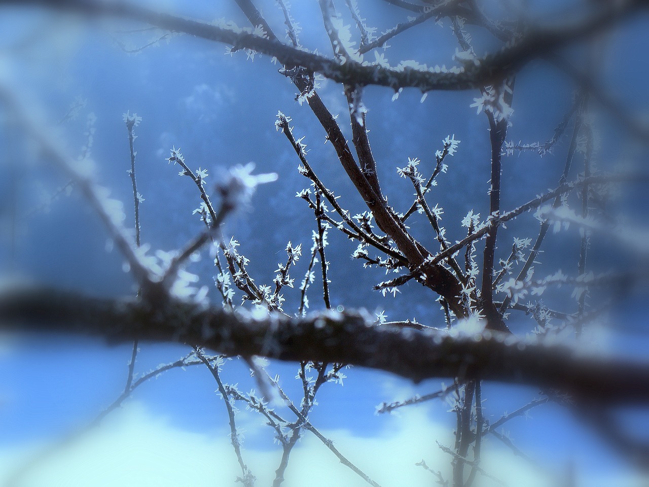 寒冬雪降，深度解析寒冷程度