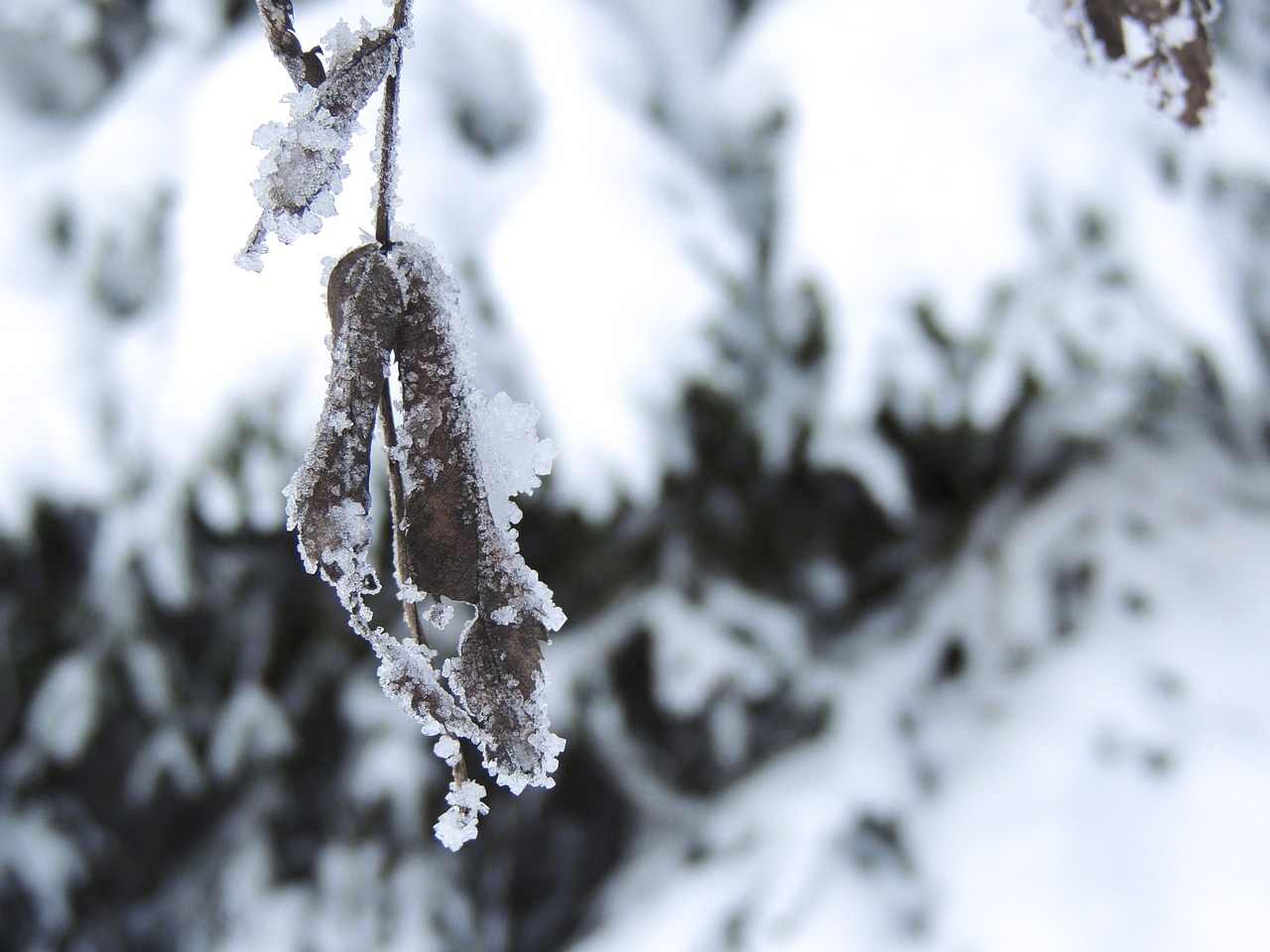 辽宁冬季遗韵，冰雪魅力与积雪地区探秘