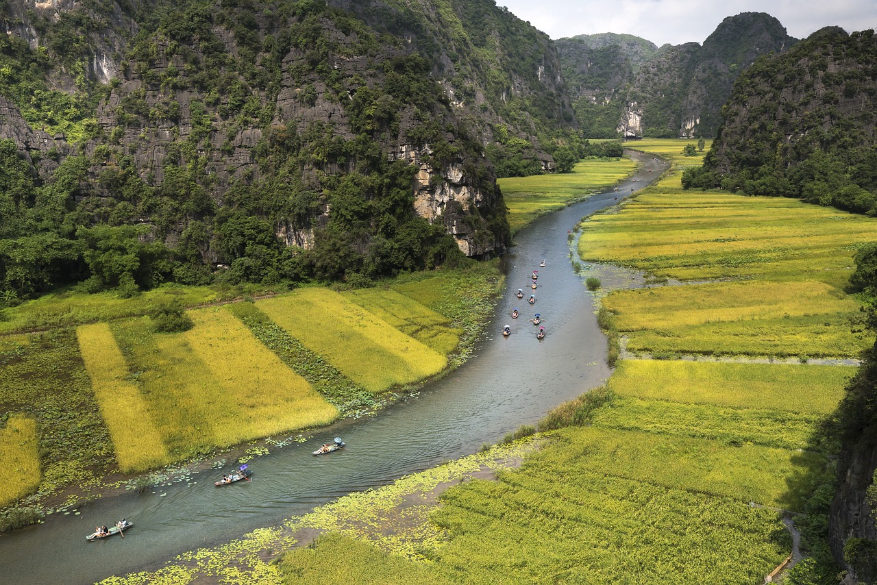 龙马潭区鱼塘店，生态养殖与乡村旅游的和谐融合