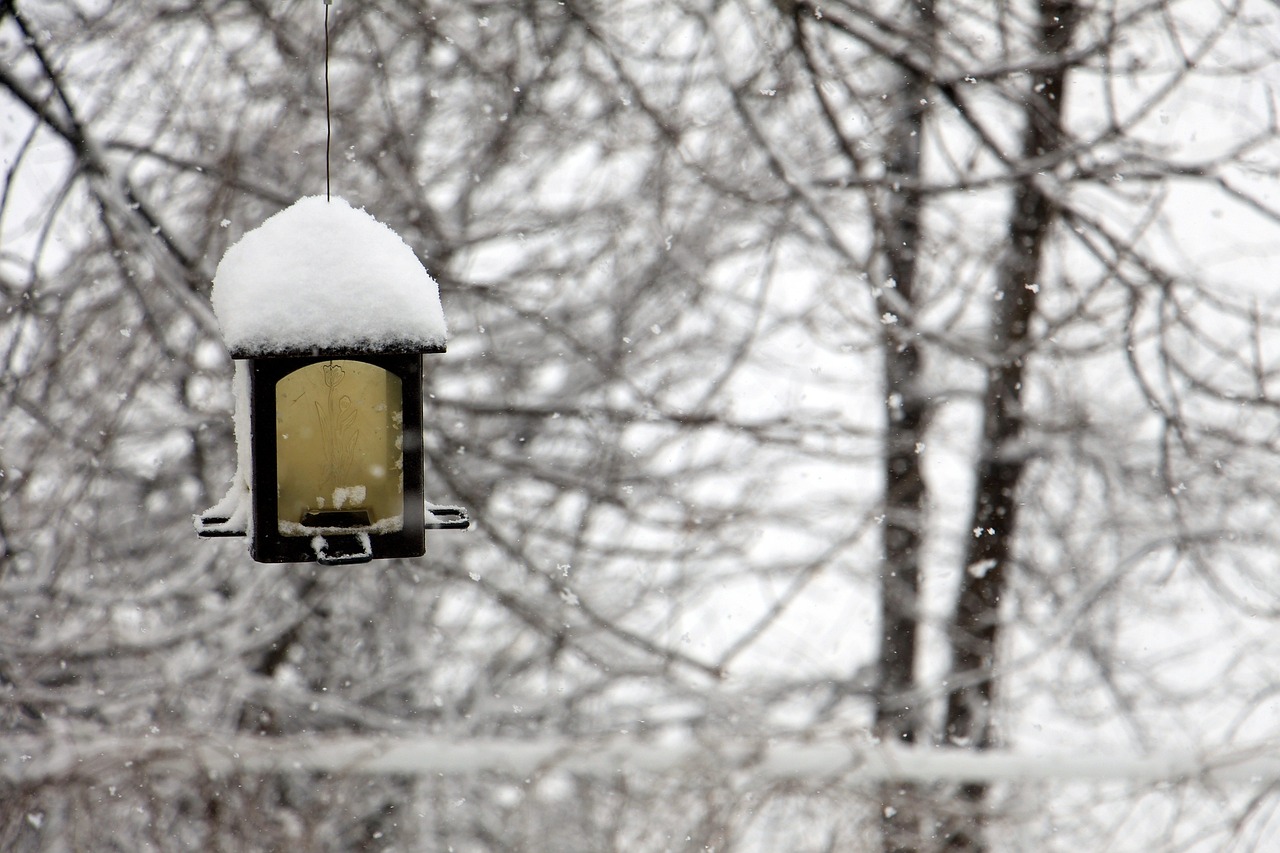 寒冬雪景的魅力与挑战，探索十二月大雪天气的壮丽与考验