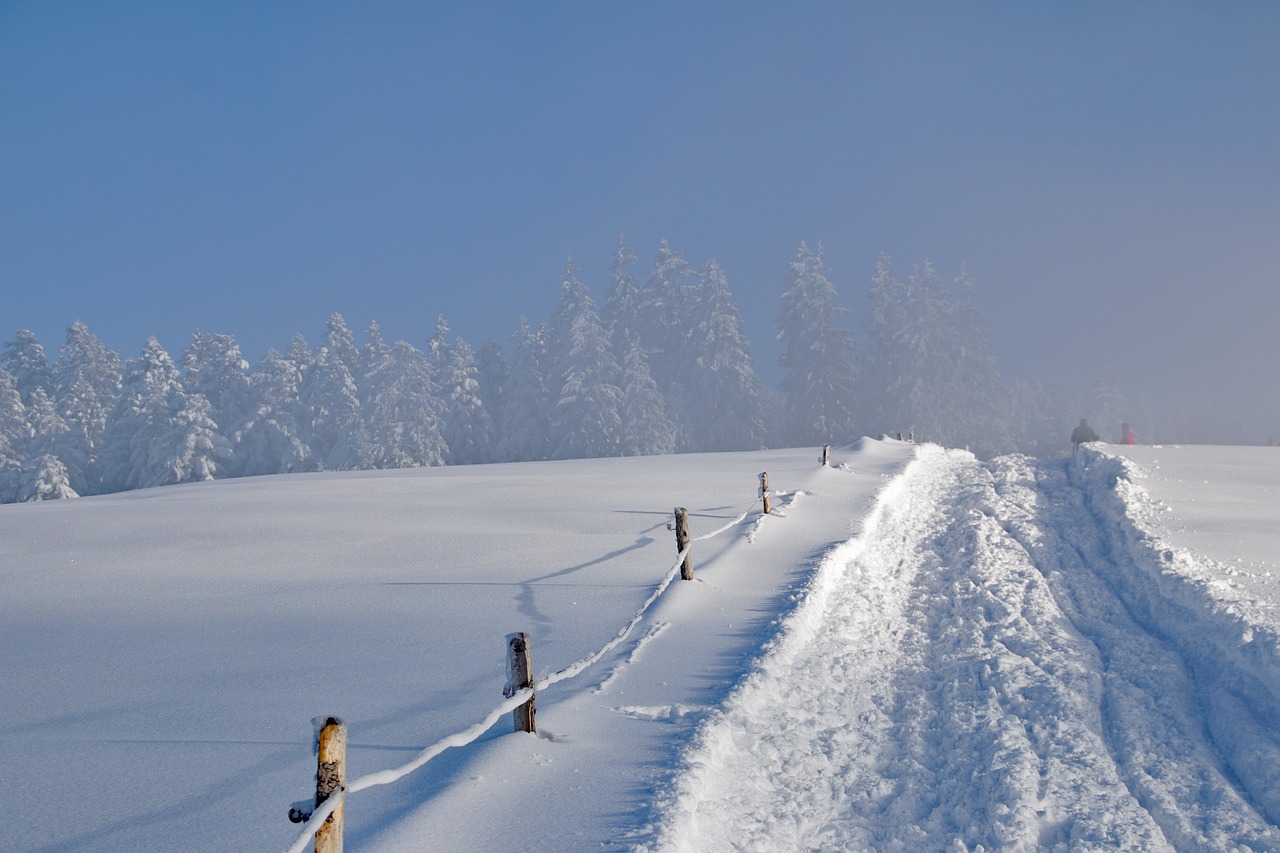 寒冬雪景的魅力与挑战，探索十二月大雪天气的壮丽与考验